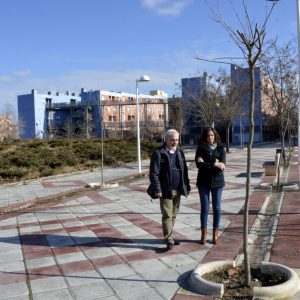 a campaña de plantación sigue en el barrio del Polígono con 40 nuevos árboles en el paseo Doctor Gregorio Marañón