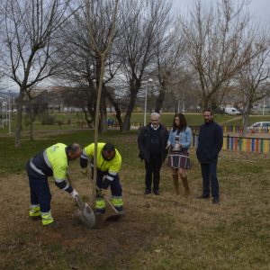 l Parque de Nara cuenta con nuevos árboles a través de la campaña anual de plantación que en 2018 suma ya 219 unidades