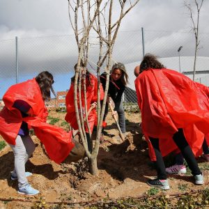 lumnos del Colegio Valparaíso colaboran en la plantación de árboles organizada por el Ayuntamiento para mejorar el barrio