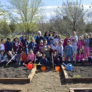 l Consistorio impulsa el primer parque y huerto del colegio ‘La Candelaria’ con la plantación de 200 brotes de hortalizas y frutas