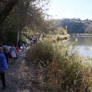 l Tribunal Supremo da la razón al Ayuntamiento y exige caudales ecológicos para el Tajo a su paso por Toledo