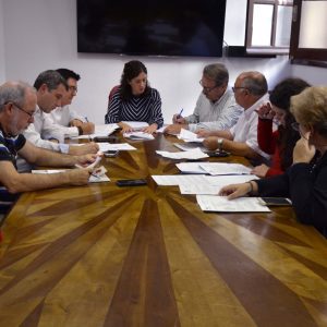 l Gobierno local informa en el Consejo de Medio Ambiente del Plan de Arbolado, las colonias felinas y las mediciones de amianto