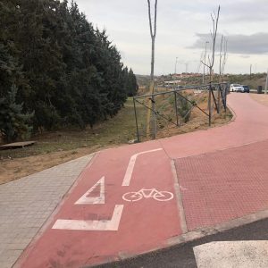 l Ayuntamiento planta 49 árboles en la avenida Adolfo Suárez para hacer más confortable el paseo de viandantes y ciclistas