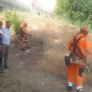 l desbroce de taludes, rodaderos, medianas y espacios públicos continúa en la zona de San Antón y del arroyo del Aserradero