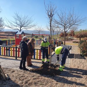 l Plan de Plantaciones continúa en todos los barrios de Toledo con especial atención a las zonas dañadas por el temporal