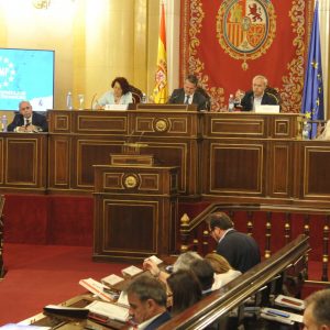 ilagros Tolón destaca el papel de las entidades locales en la cohesión territorial con la gestión de los Fondos Europeos