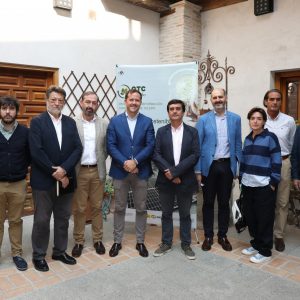 oledo, primera Ciudad Patrimonio de la Humanidad que crea una comunidad energética para ofrecer energía limpia en su Casco Histórico