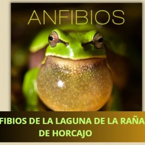 Biblioteca de Castilla-La Mancha. Ponencia inaugural de la exposición de “Anfibios de la Laguna de la Raña de Horcajo”.