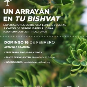 Museo Sefardí. Un arrayán en Tu Bishvat.