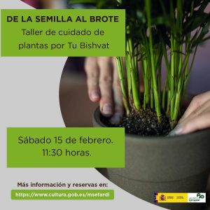 Museo Sefardí. De la semilla al brote. Taller de cuidado de plantas por Tu Bishvat.